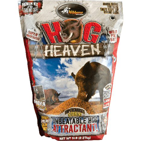 Attractif sanglier Hog Heaven